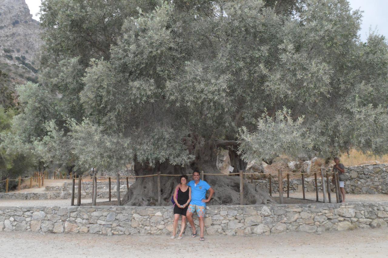 Tholos Rooms Kavoúsion Екстериор снимка